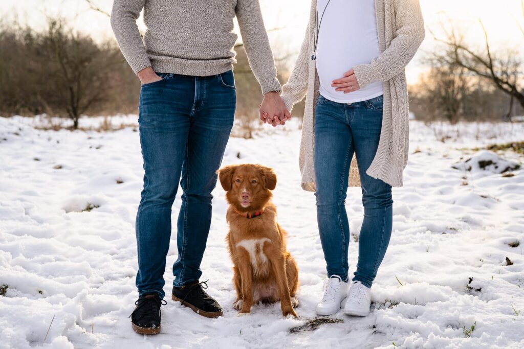 fotografování psů